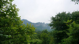 恩施山林绿意景观