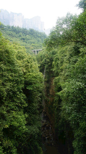 恩施山间葱郁峡谷景色