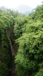 恩施山间绿意盎然的幽深小径