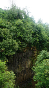 恩施茂密丛林中的深谷景观