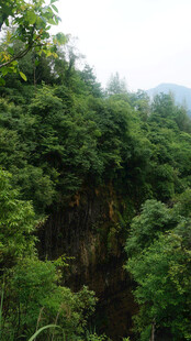 恩施茂密山林中的深邃峡谷