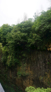 恩施郁郁葱葱的山林景色