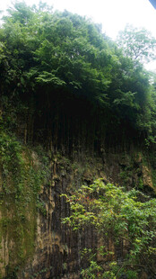 恩施崖壁绿植景观