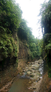恩施峡谷溪流间的绿意景致