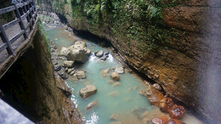 恩施峡谷栈道旁碧绿溪流