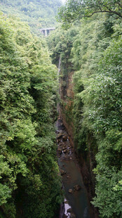 恩施峡谷间繁茂绿意景观