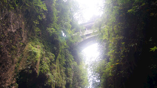 恩施峡谷间绿意盎然的自然奇观