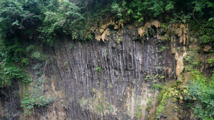 恩施长满绿植的古老石墙