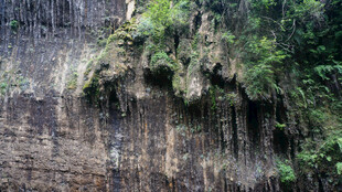 恩施崖壁绿植景观