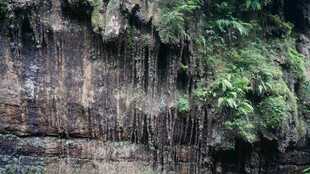 恩施崖壁绿植景观