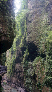 恩施山间幽径 岩壁绿意盎然