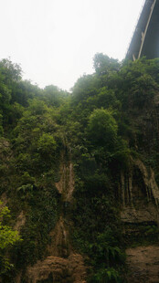 恩施山间繁茂绿植景观