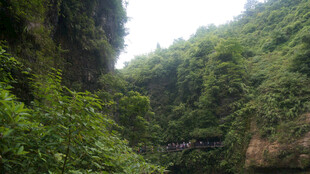 恩施山间葱郁绿植景观