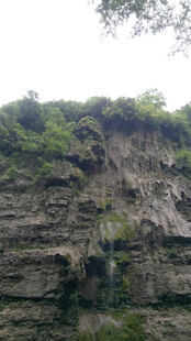 恩施陡峭岩壁上的繁茂植被