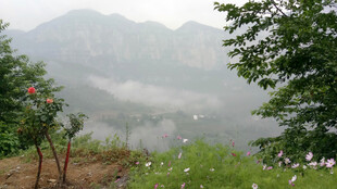 恩施山间晨雾中的自然景致