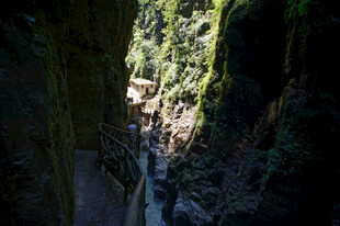 恩施峡谷间的绿意与深邃