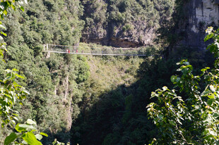 恩施山间悬崖旁的绿意景观