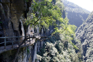 恩施悬崖栈道穿梭于青山绿树间