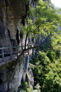 恩施悬崖栈道 穿梭绿意之间