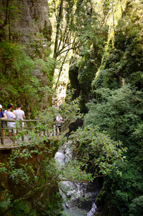 恩施森林中的木桥与游人