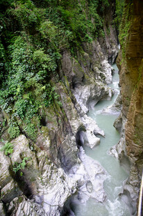 恩施山间溪流穿林而过