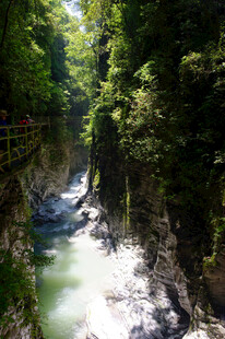 恩施山间幽美溪流与茂密植被