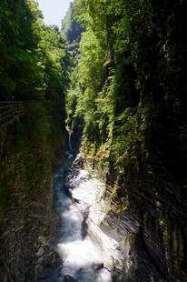 恩施山间峡谷溪流绿意盎然