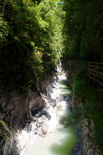恩施山间溪流 绿意盎然的景致