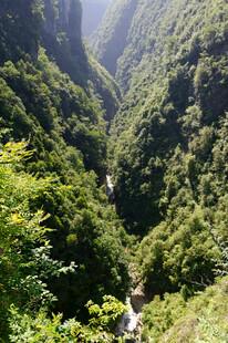 恩施山间幽谷绿意盎然的景致