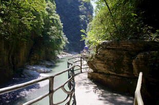 恩施山间栈道 穿行绿意幽境