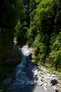 恩施山间湍急溪流 绿意环绕