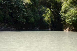 恩施宁静河畔绿意环绕的景致