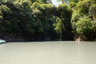 恩施河上绿树成荫的天然拱道