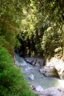 恩施山间溪流 绿意盎然的景致