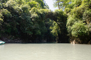 恩施宁静河道旁的葱郁丛林