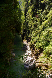 恩施山间幽径 绿意盎然的溪流