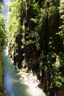 恩施山间溪流穿林而过