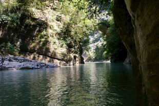 恩施幽静河谷中的清澈溪流