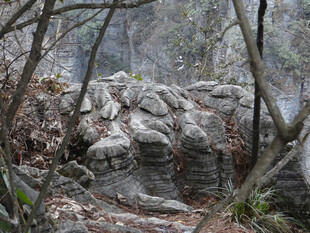 恩施林间嶙峋怪石