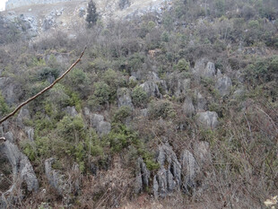 恩施嶙峋石林景观