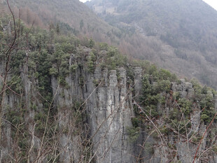 恩施陡峭悬崖上的绿色植被