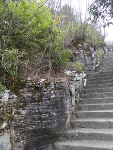 恩施山间石阶 绿意环绕之景