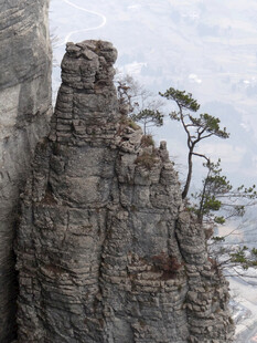 恩施悬崖孤树的壮美自然景观