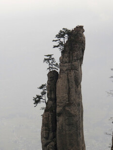 恩施高耸奇峰 孤松挺立