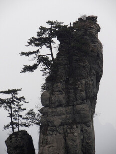 恩施奇峰孤松景观
