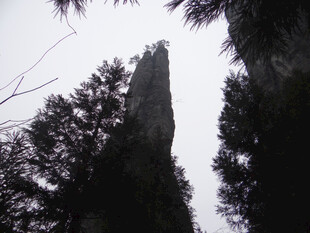 恩施高耸石峰与周边林木景观