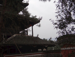 恩施古雅中式建筑 尽显传统韵味