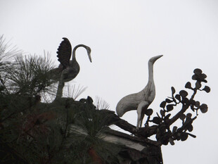 恩施双鹤雕塑立于枝头
