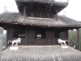 恩施古宅屋顶上的两只猫咪