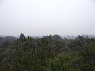 恩施雾中葱郁山林景致